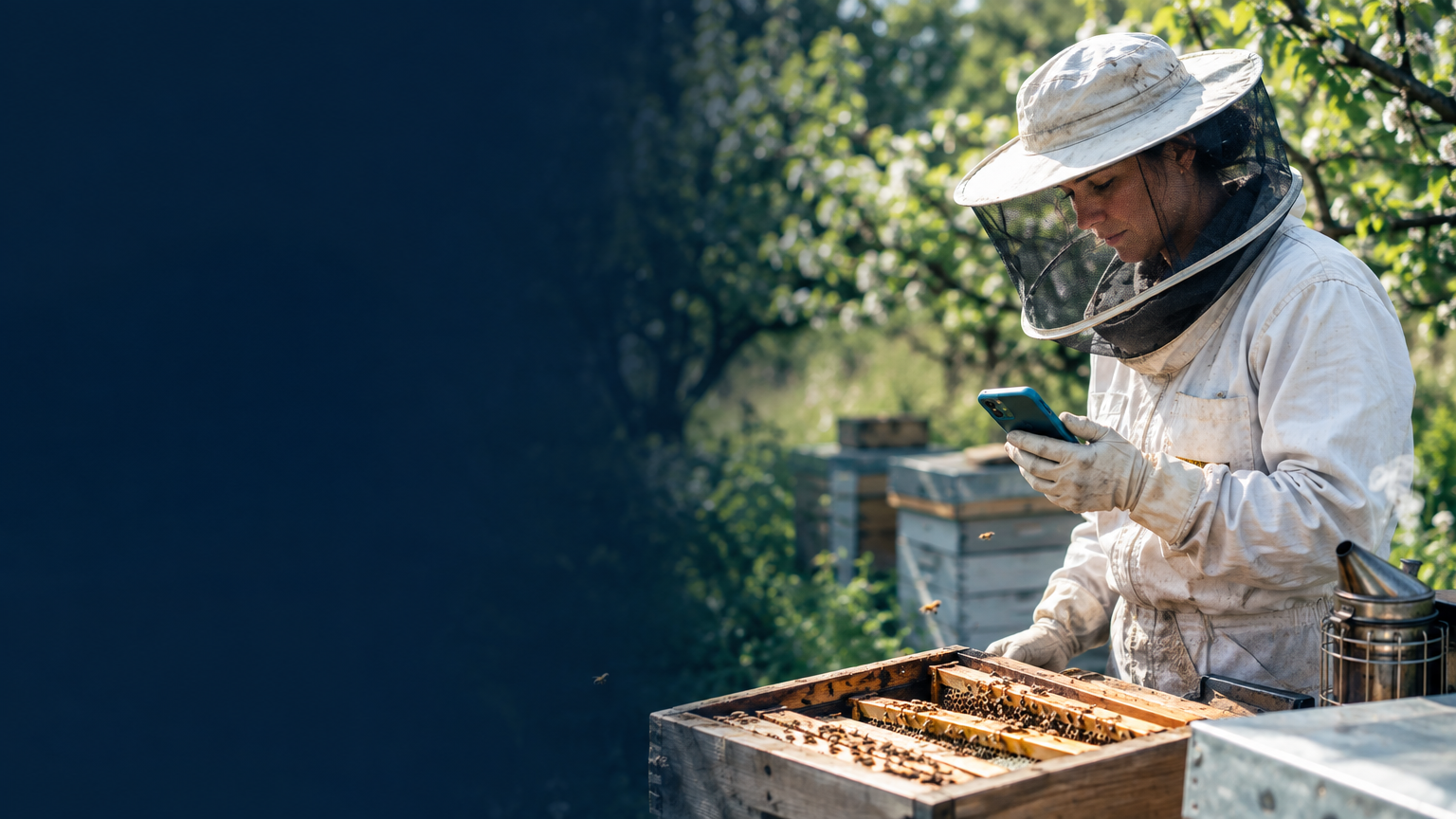 Beekeeper using a tablet to record a beehive inspection in an outdoor apiary